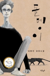 돌멩이 (청소년 소설)